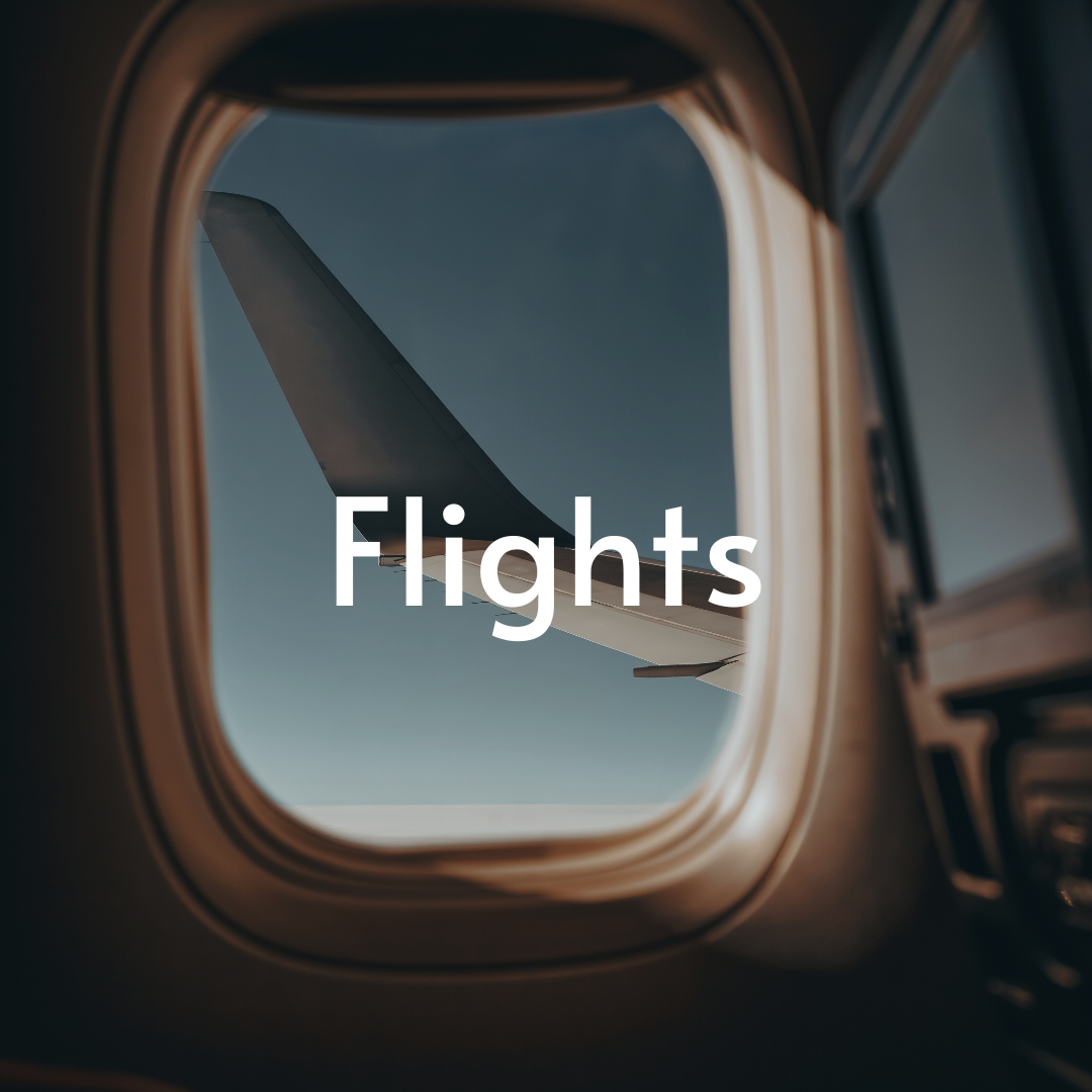 flight - IDM travel